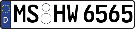 MS-HW6565