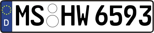 MS-HW6593
