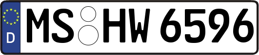 MS-HW6596