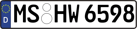 MS-HW6598