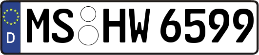 MS-HW6599