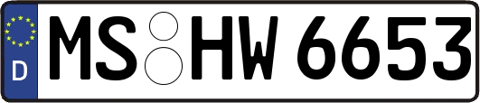 MS-HW6653
