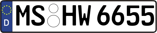 MS-HW6655