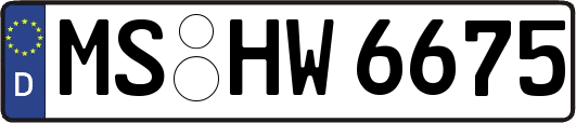 MS-HW6675
