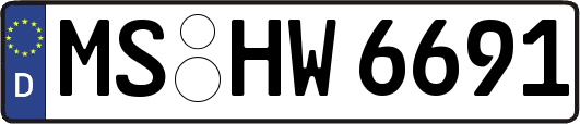 MS-HW6691