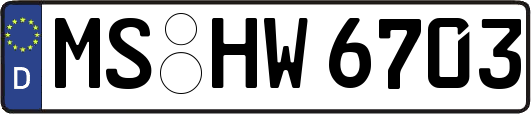 MS-HW6703