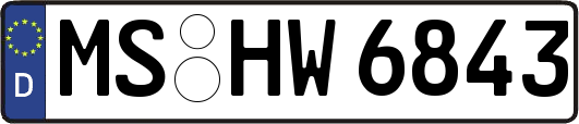 MS-HW6843