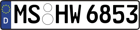 MS-HW6853