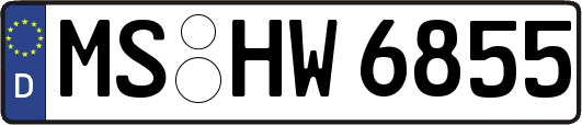 MS-HW6855