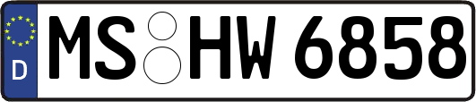 MS-HW6858