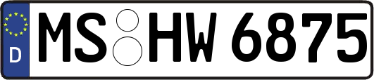 MS-HW6875