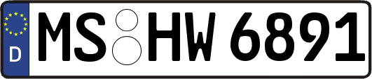 MS-HW6891