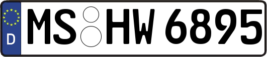 MS-HW6895
