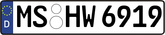 MS-HW6919