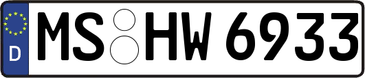 MS-HW6933
