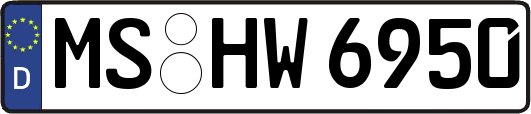 MS-HW6950