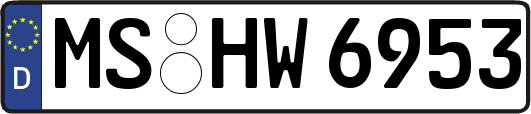 MS-HW6953