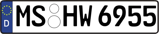 MS-HW6955