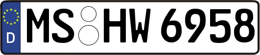 MS-HW6958