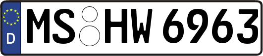 MS-HW6963