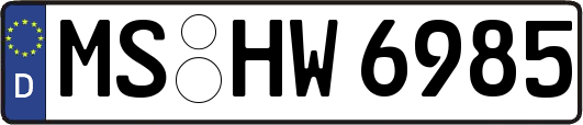 MS-HW6985