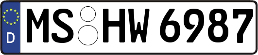 MS-HW6987