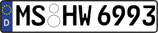 MS-HW6993