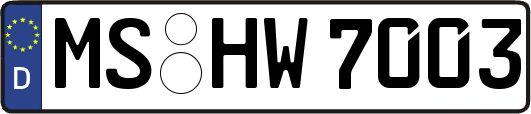 MS-HW7003
