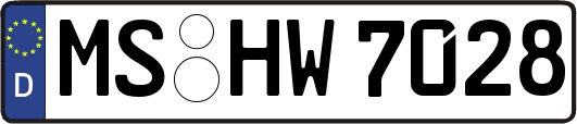 MS-HW7028