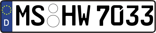 MS-HW7033