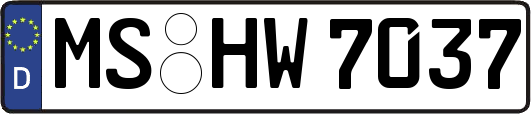 MS-HW7037