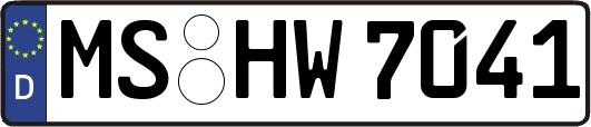 MS-HW7041