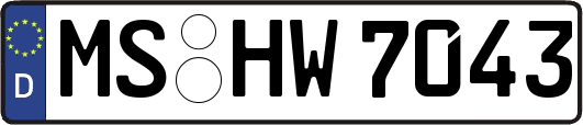 MS-HW7043