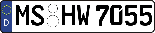 MS-HW7055