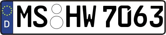MS-HW7063