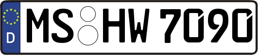 MS-HW7090