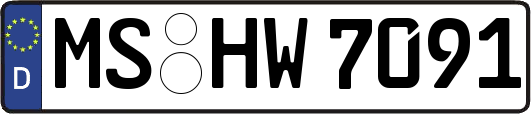 MS-HW7091