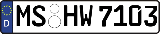 MS-HW7103