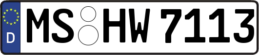 MS-HW7113