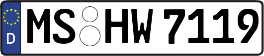 MS-HW7119