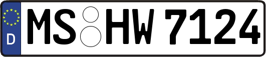 MS-HW7124