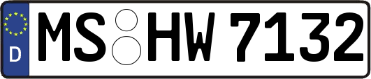 MS-HW7132