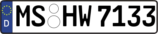MS-HW7133