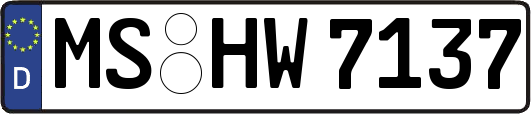 MS-HW7137