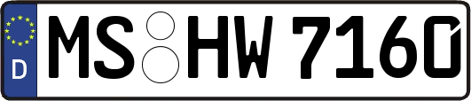 MS-HW7160