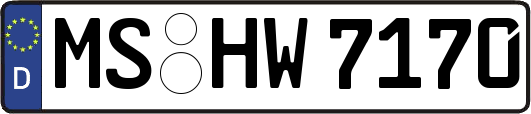 MS-HW7170