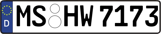 MS-HW7173