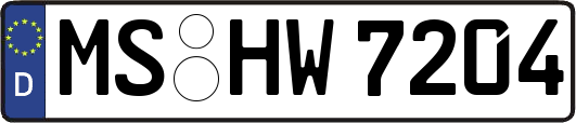 MS-HW7204