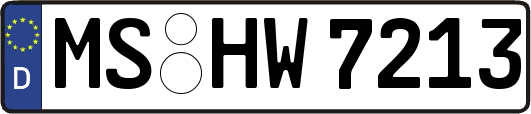 MS-HW7213
