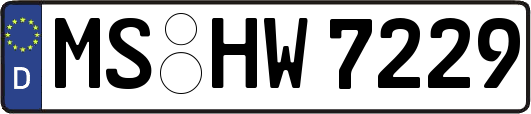 MS-HW7229